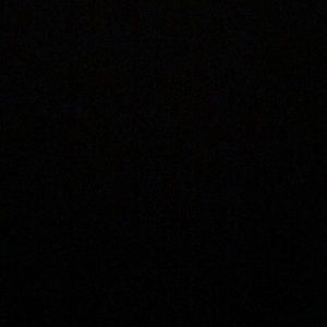 Meet your Posher, Kylie